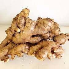 Bentong Old Ginger | Halia Bentong Tua | 文冬老姜 - Image 3